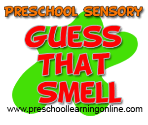 Simple guess that smell activity and sensory ideas for teaching children using their senses.